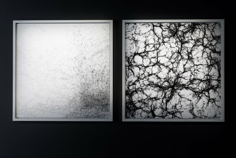 Cosmic Filaments (working title), 2013, Tomás Saraceno | courtesy the artist