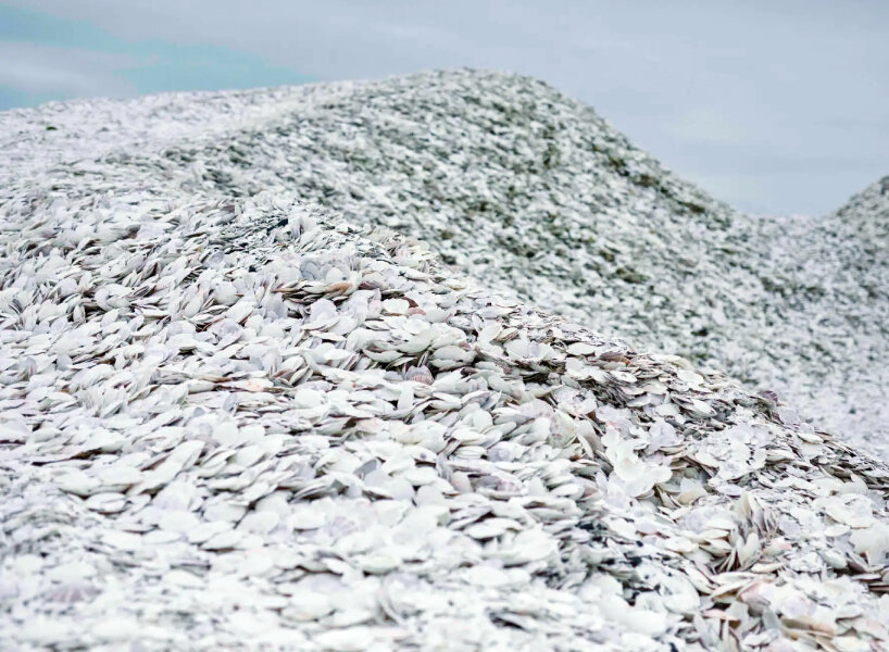 hotamet scallop helmet