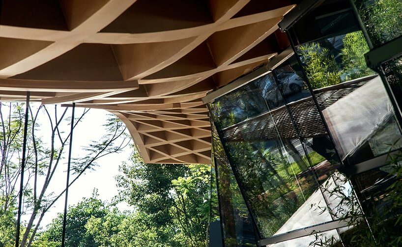 the timber structure is exposed through the zigzag glass curtain wall | image ©xf photography