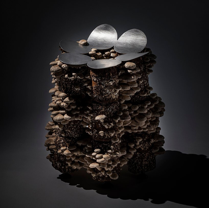 TOP 10 reader submissions of 2022 — installations