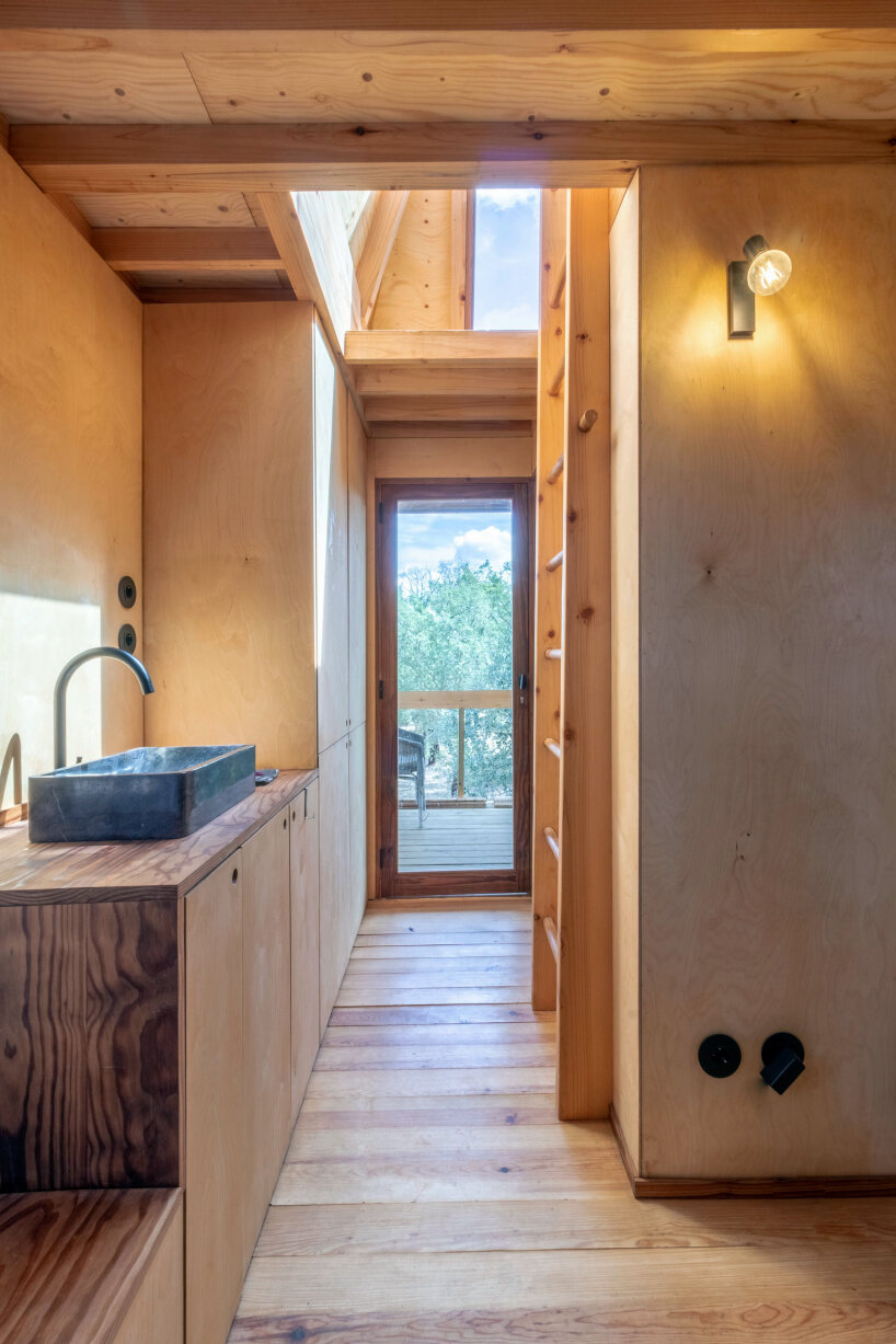 madeiguincho columba