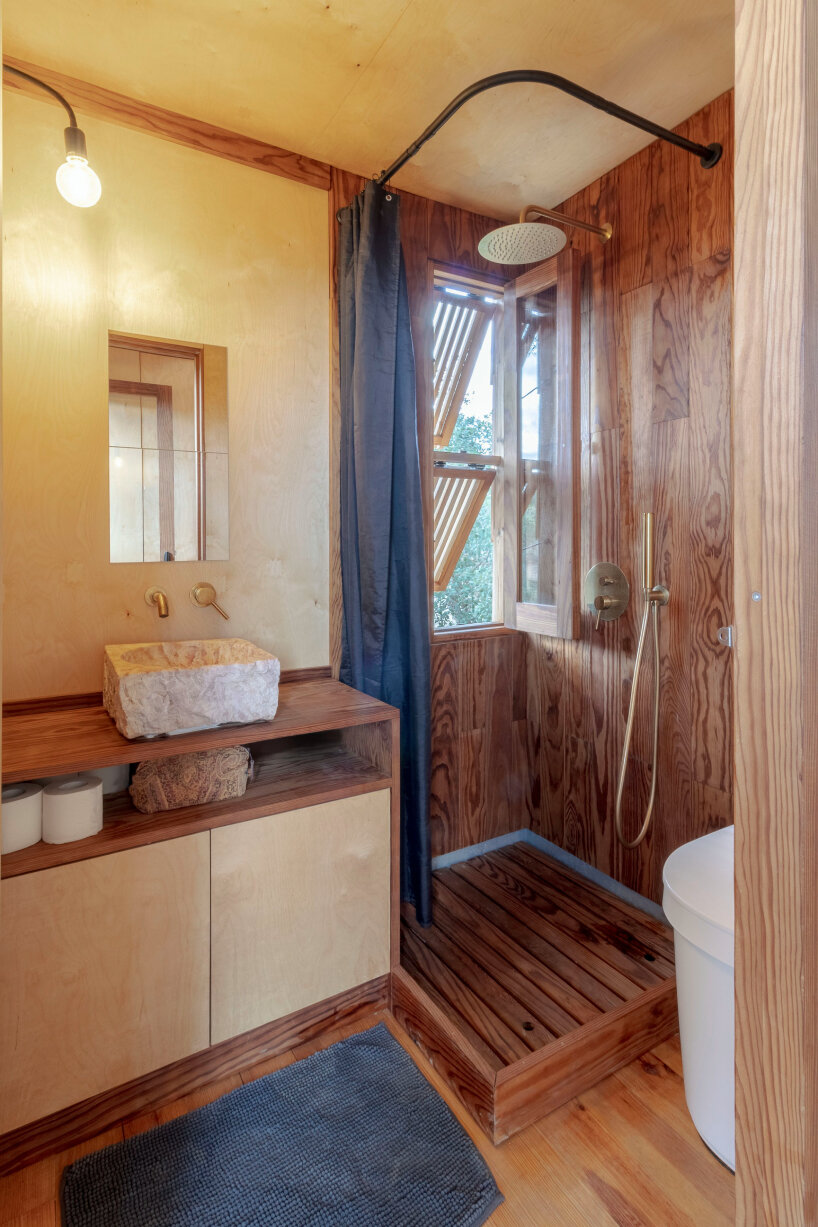 madeiguincho columba