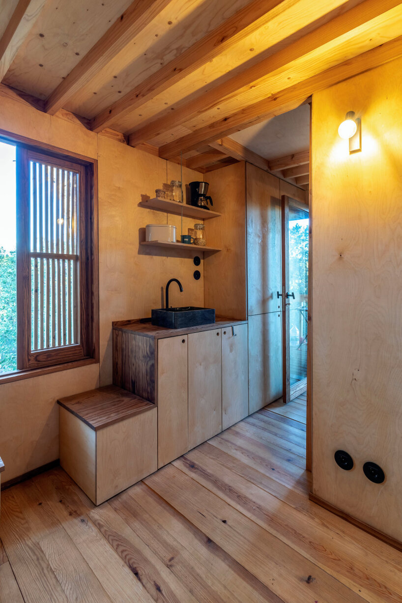 madeiguincho columba