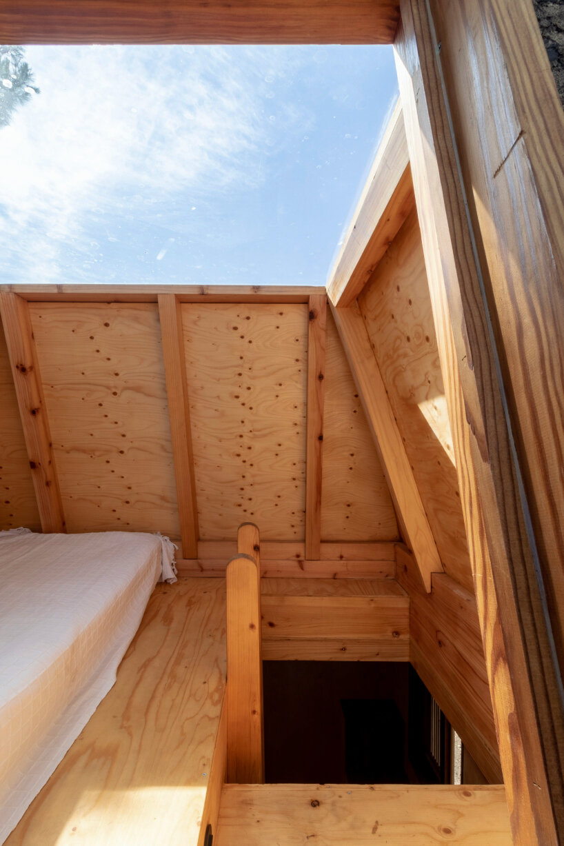 madeiguincho columba