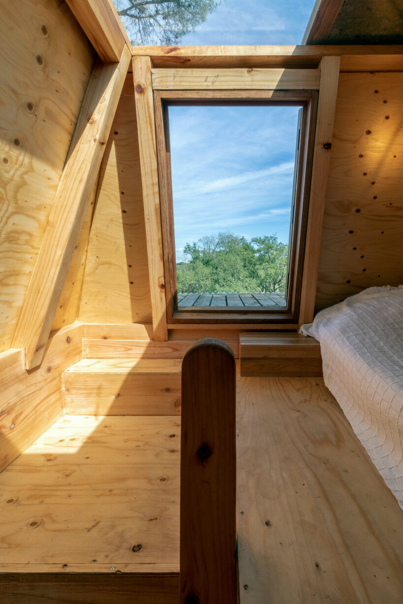 madeiguincho columba