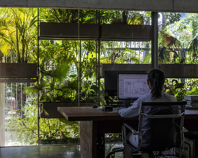 vo trong nghia office