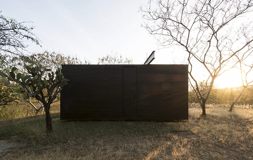 image © Omar López Bautista