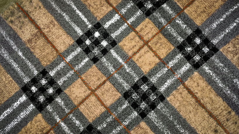 western cape | images © courtesy of Burberry