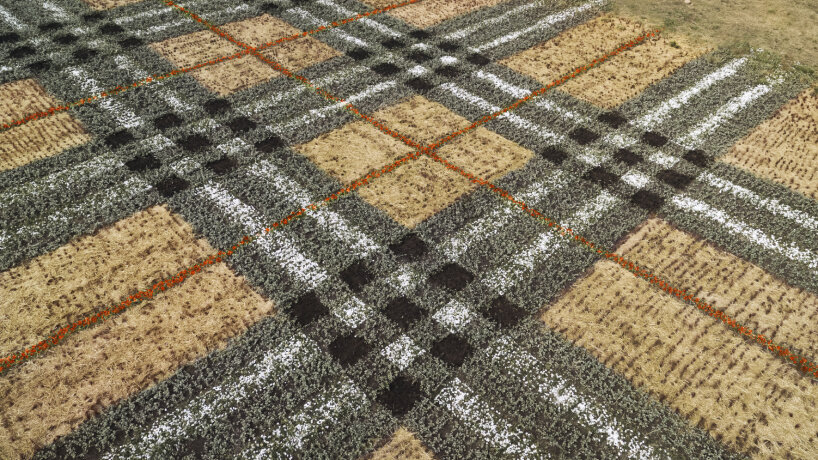 western cape | images © courtesy of Burberry