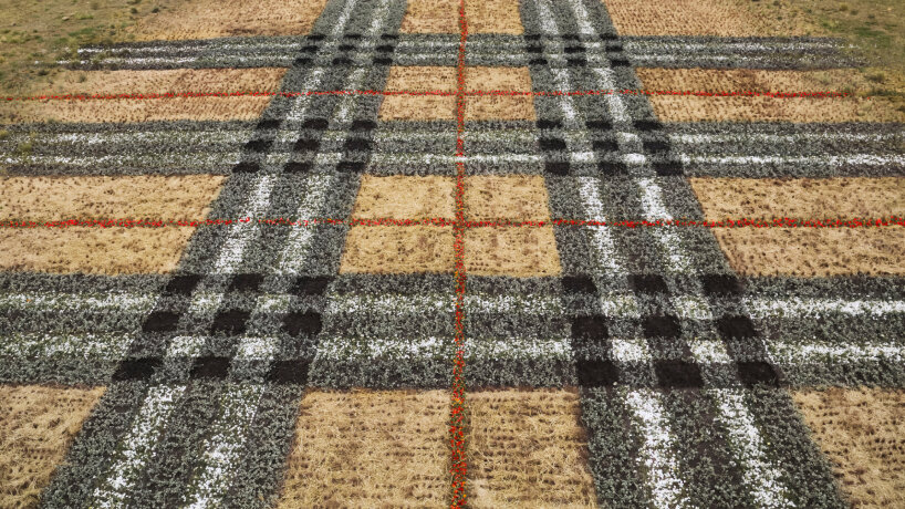 western cape | images © courtesy of Burberry