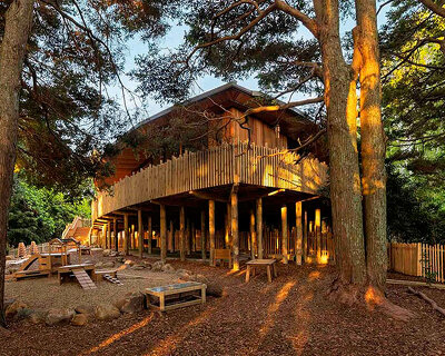 leaf-shaped roof tops gaia forest preschool center's structure in new zealand