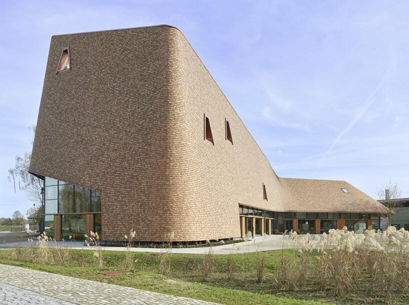 haas cook zemmrich rapunzel