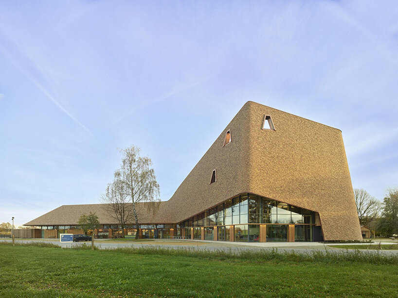 haas cook zemmrich rapunzel