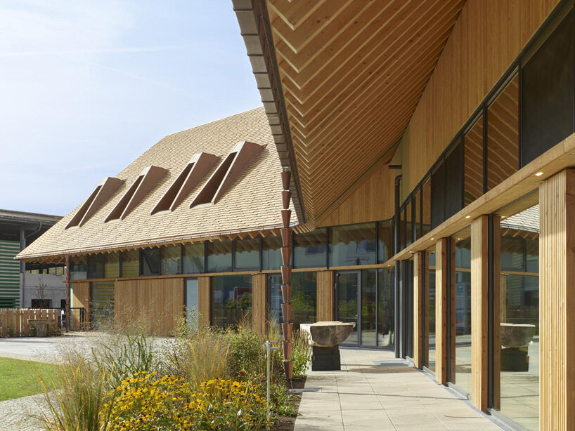 haas cook zemmrich rapunzel