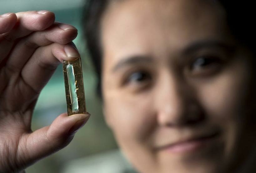 what if a battery lasted forever? chemistry student accidentally discovered the way