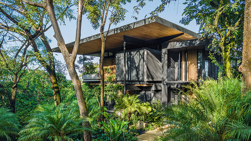 sunlit ‘raintree house’ by studio saxe is a contemporary oasis in costa rica
