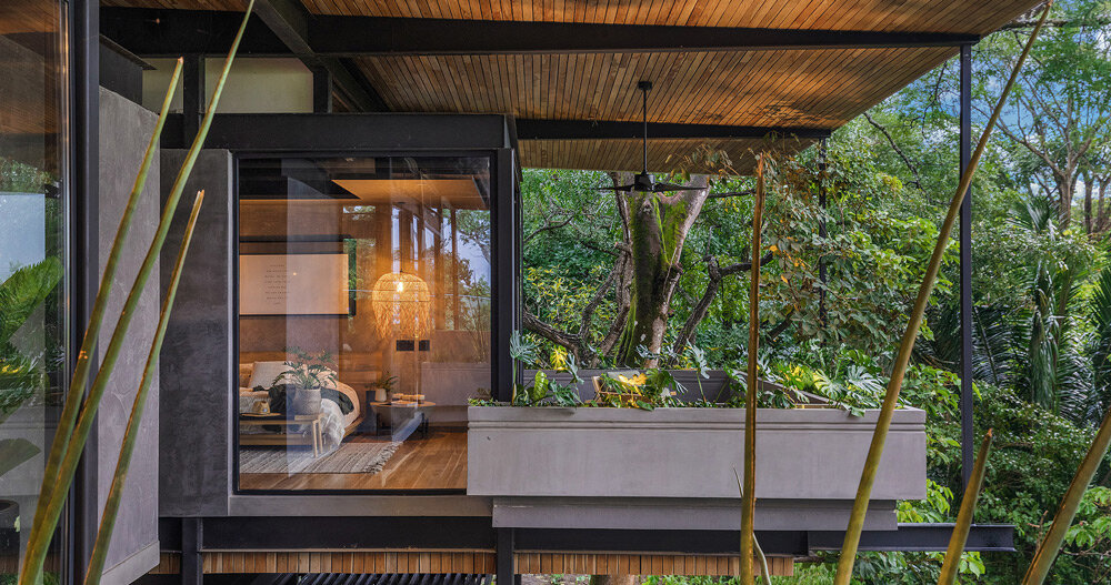 raintree house' by studio saxe is a contemporary oasis in costa rica