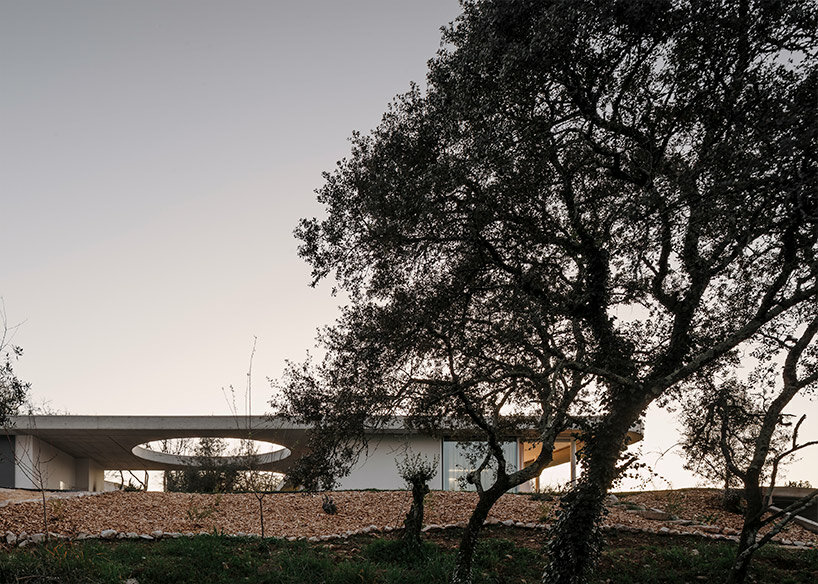 concrete geometries embrace bruno dias' casa chouso in portugal