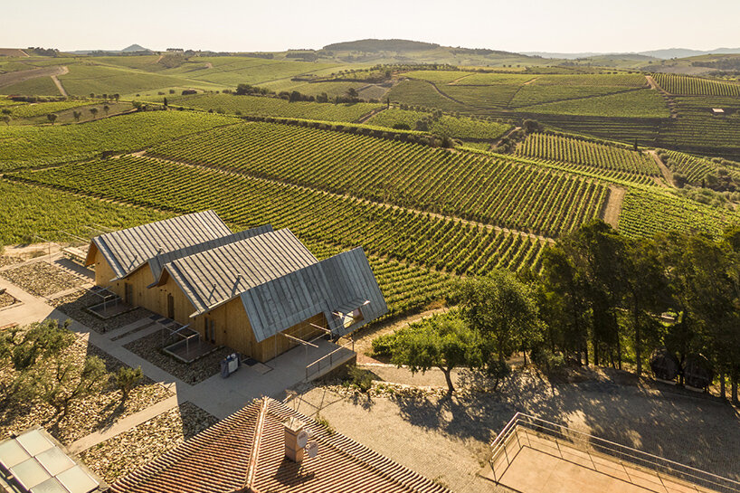 carlos castanheira quinta faísca