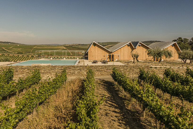 carlos castanheira quinta faísca