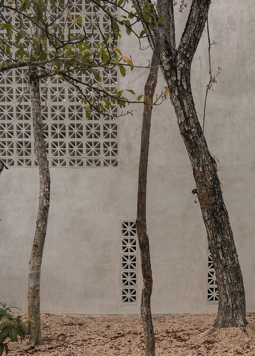 recoveco sculpts ‘casa coral’ as a permeable, monolithic dwelling in mexico - 2