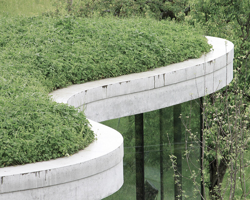 grassy and organic, this ‘freiform’ house is embedded into italy’s tyrolean landscape