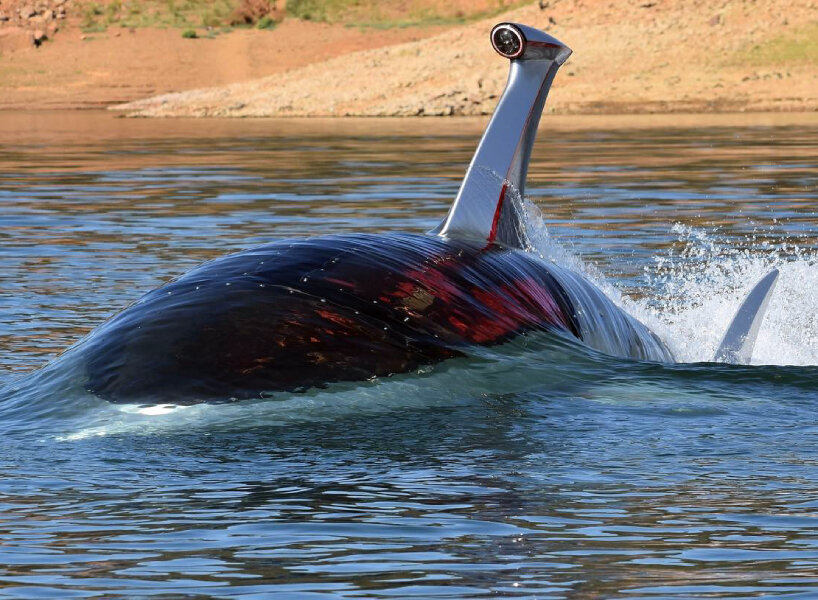 jet shark submersible