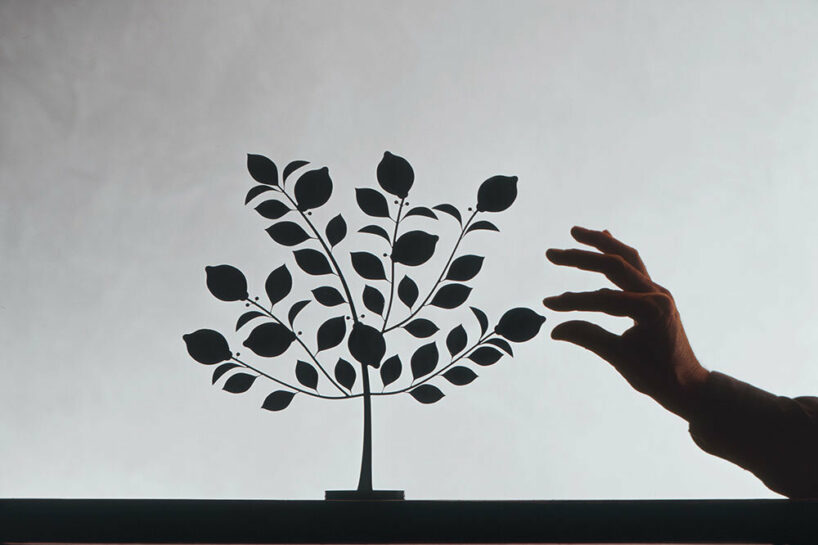 Limone,  Raw metal, 2005. Serie Il giardino. © Ph. Michele De Lucchi