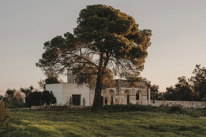 andrew trotter casolare scarani