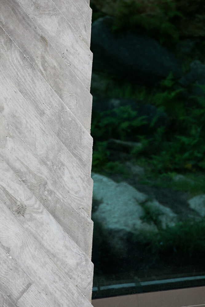 image © José Campos 