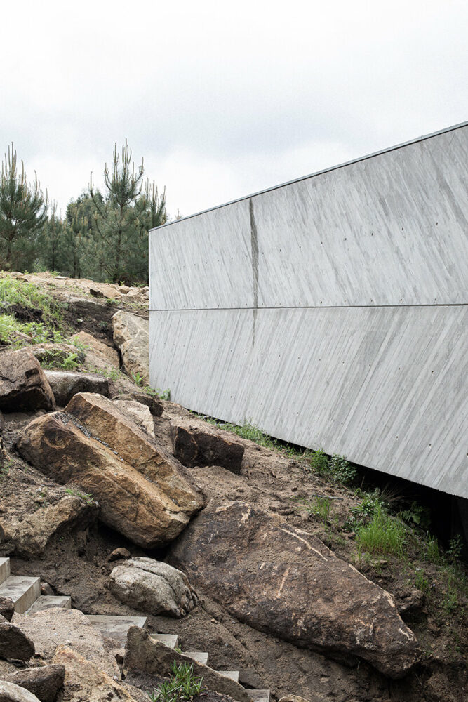 image © José Campos 