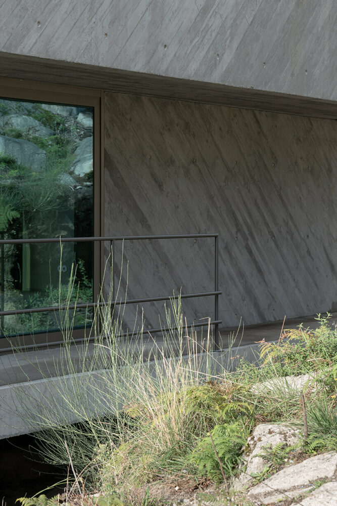 image © José Campos 