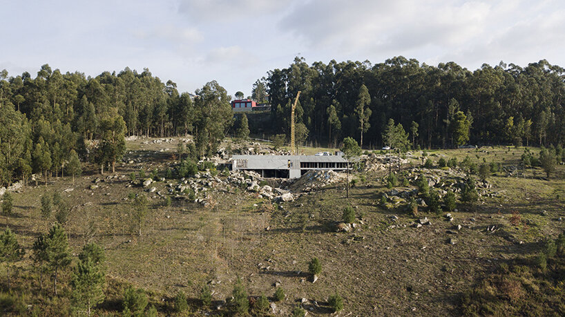 image © Tiago Casanova