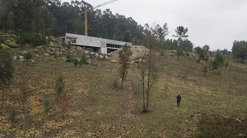 image © Tiago Casanova