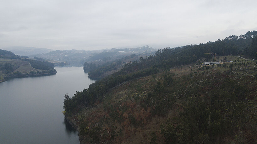 image © Tiago Casanova