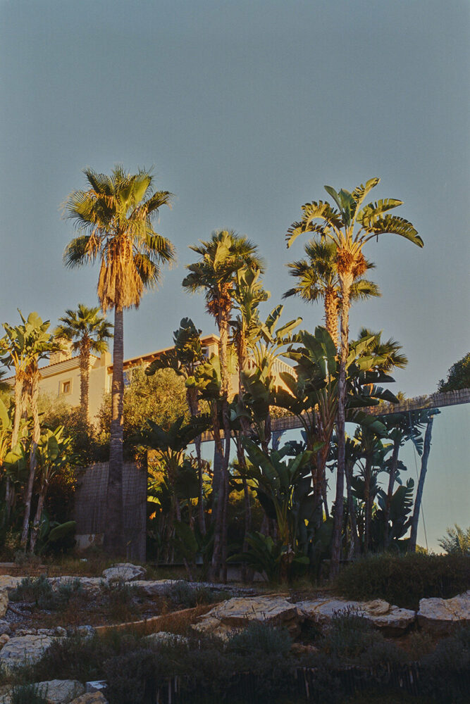 david altrath photographs ‘villa mediterraneo’ gazing over ibiza through bamboo screens