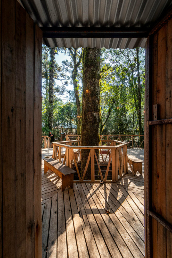 sada dřevěných toaletních kabin vykukuje korunami stromů původního lesa v sao francisco