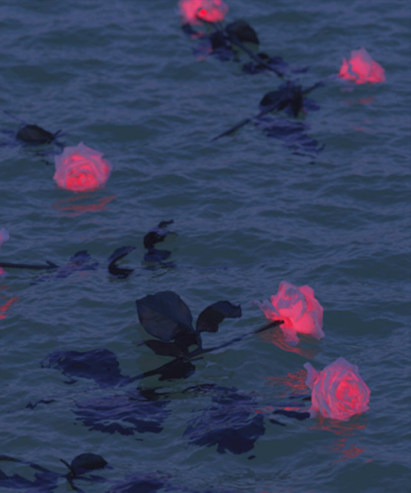 'Ostsee Rose I' by David Stenbeck, courtesy of Jenn Singer Gallery