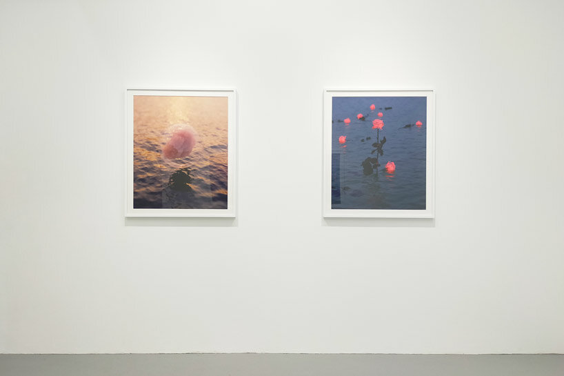 david stenbeck’s photo series at SNOW contemporary immerses visitors in his dreamscapes