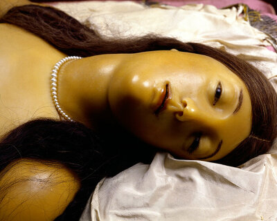 fondazione prada and david cronenberg dissect female wax models for anatomy exhibition