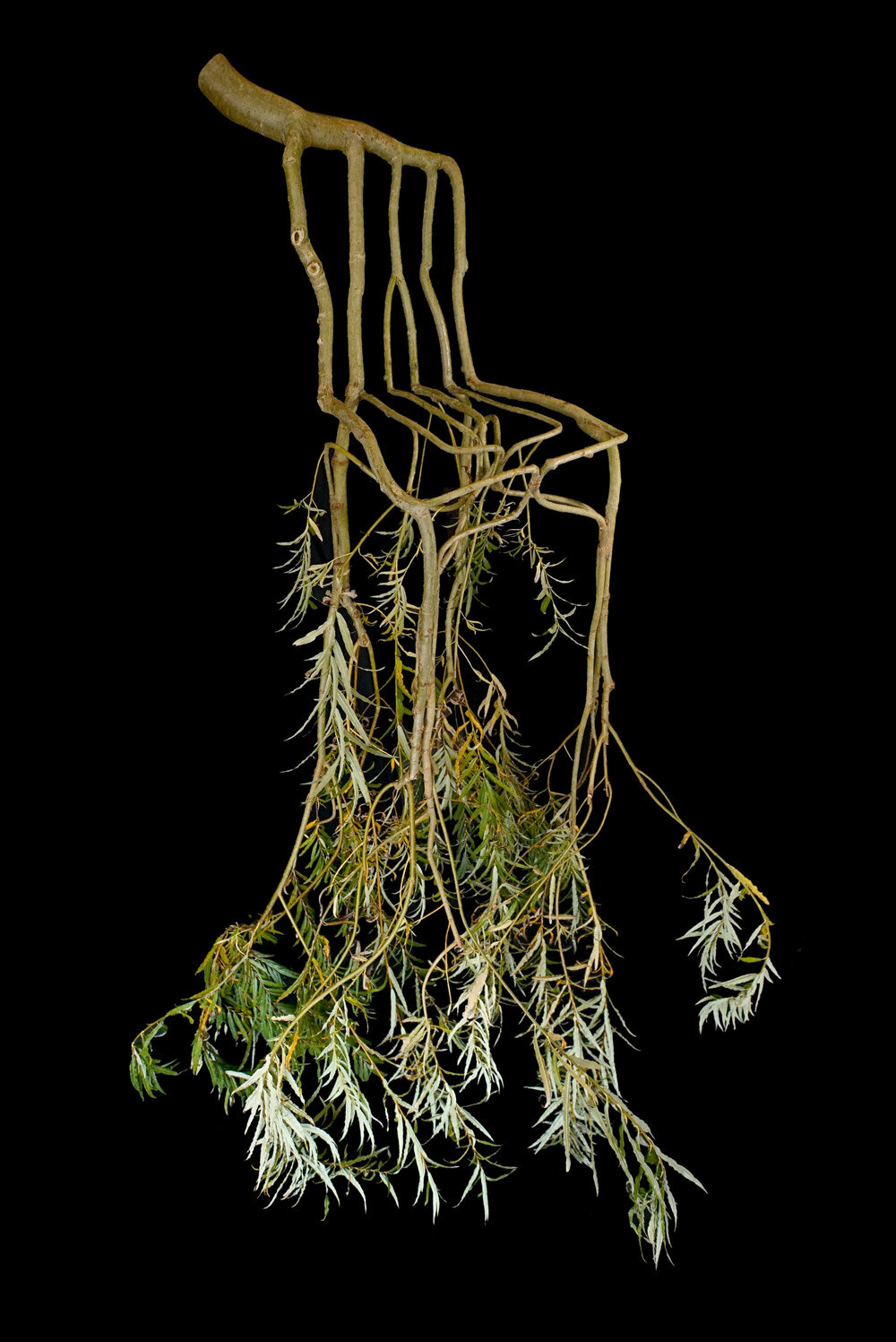 Full Grown, The Grown Chair, 2012-2016 © Alice and Gavin Munro, Photo: Gavin Repton for Full Grown Ltd.