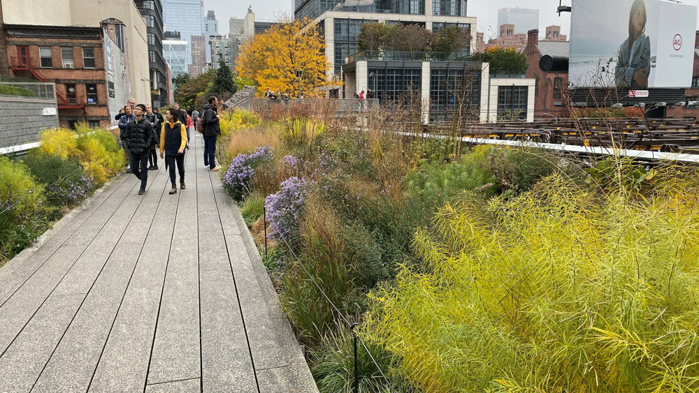 Piet Oudolf, High Line, New York City © Piet Oudolf, Photo: Annik La Farge and Rick Darke