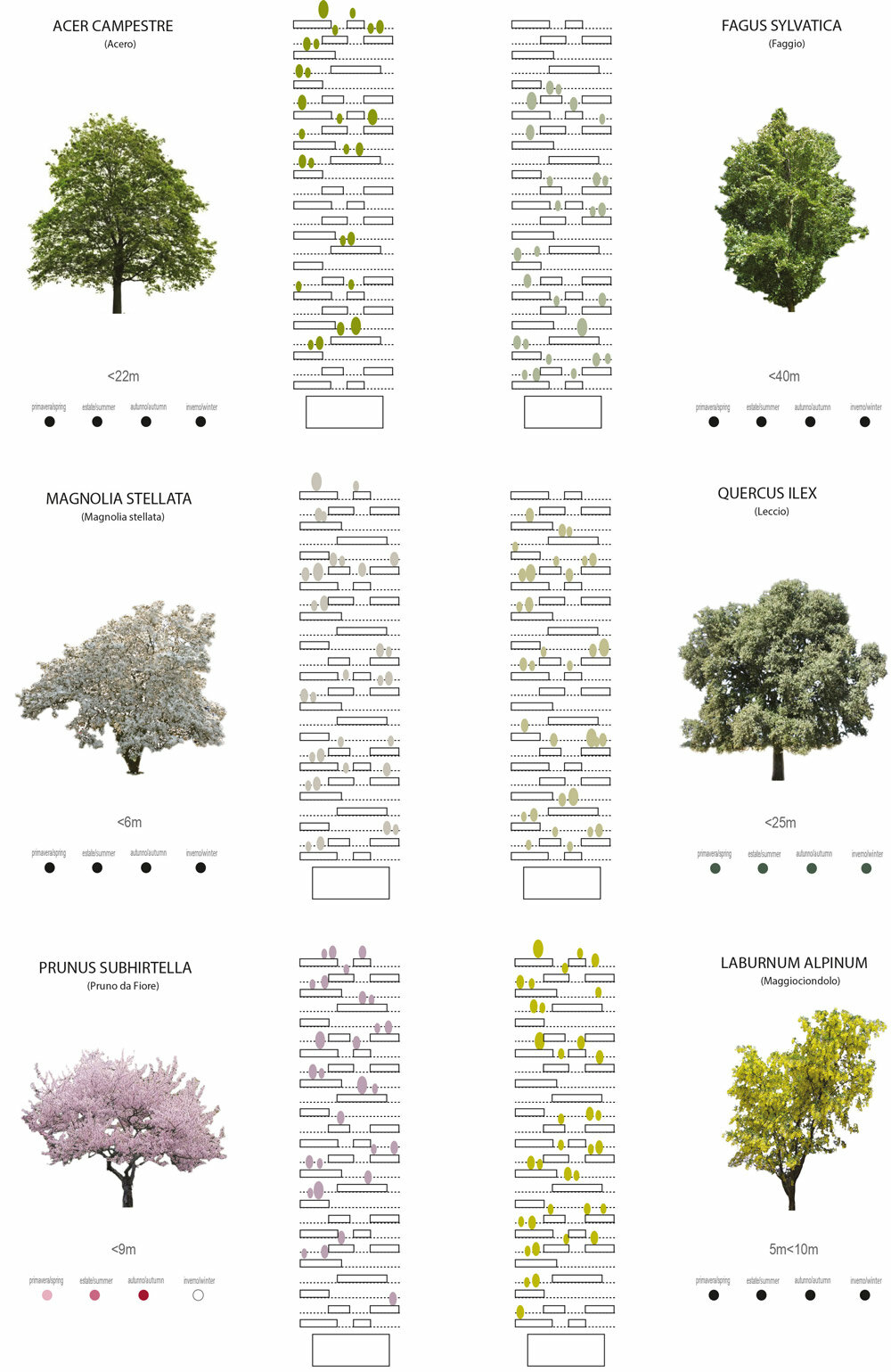 diagram of trees and plants of the Bosco verticale, 2014 © Stefano Boeri Architetti