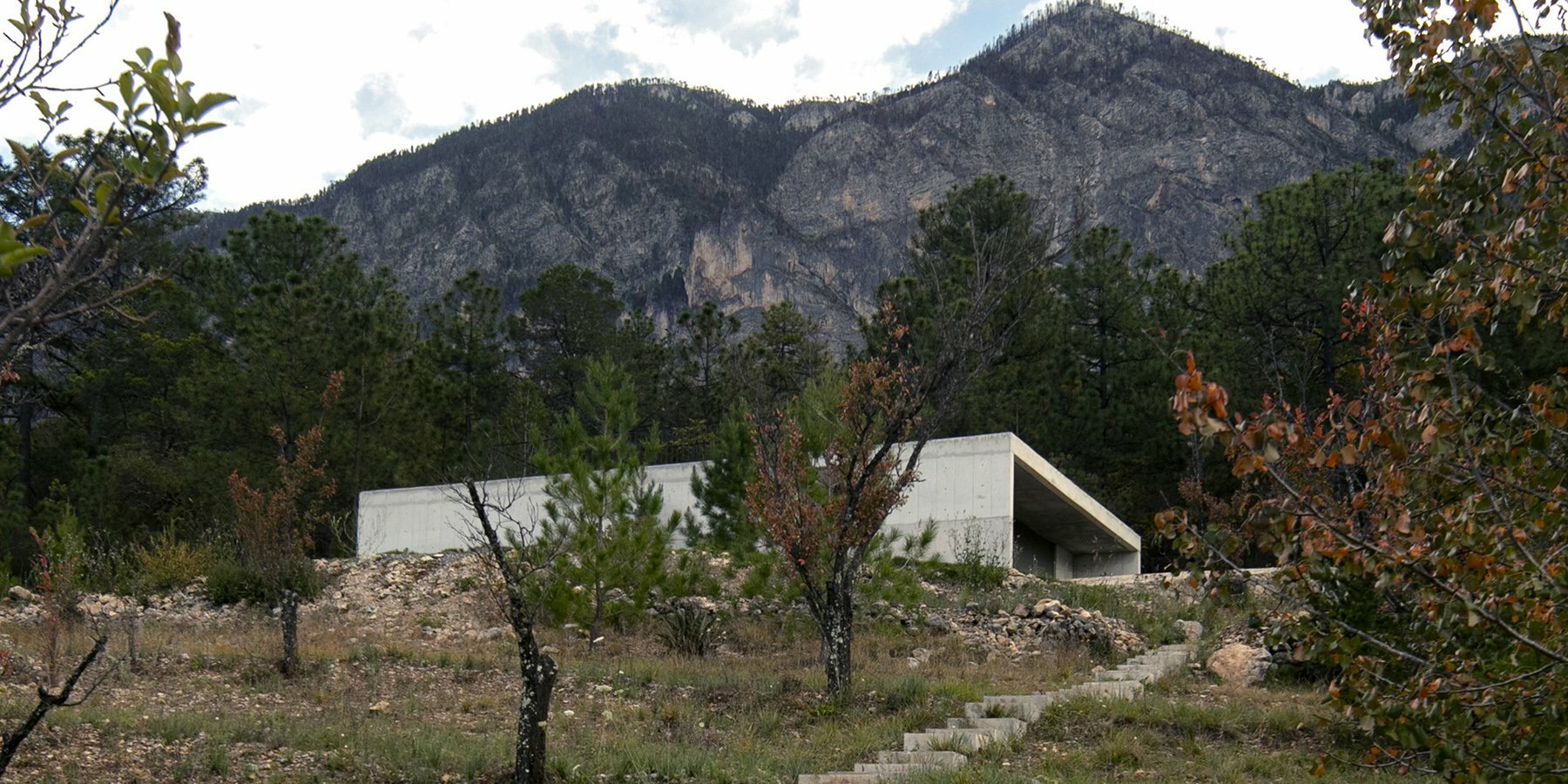 mirador-house-S-AR-mexico-designboom-1800-2
