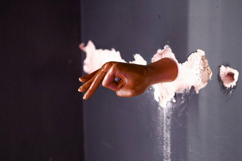 image by Mathews Montalvão