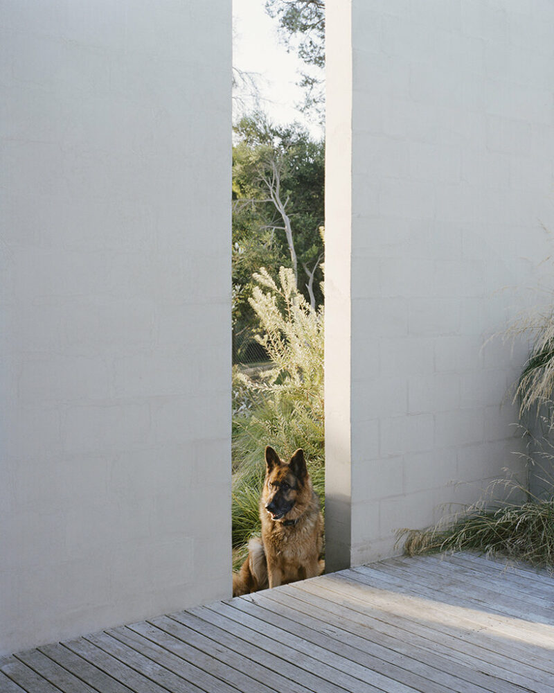 masonry blade walls & a floating timber volume compose ‘peninsula house’ in australia
