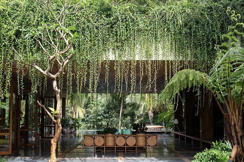 perched amidst a forest in bali, the ravine dwelling blurs the line between indoor & outdoor