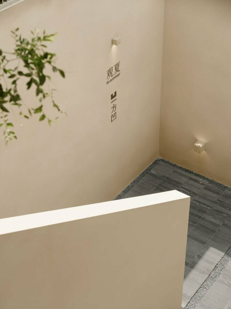 tosummer & fang ao brands