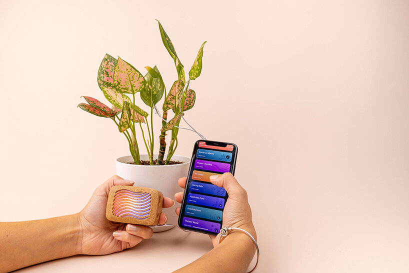 plantwave converts biorhythms into music for indoor environments