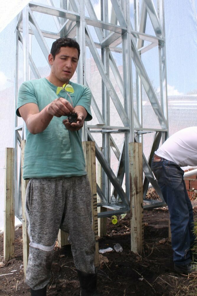alsar atelier's community-built fog catcher promotes eco-friendly urban agriculture in colombia